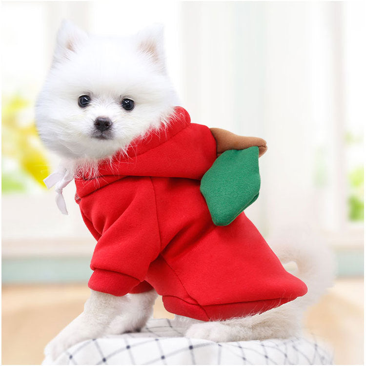 Autumn and winter pets, dogs, cats, cats, teddy bears, fruit, fleece, clothing, decoration supplies manufacturers wholesale