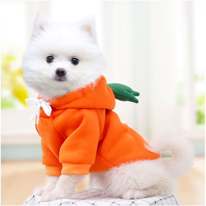 Autumn and winter pets, dogs, cats, cats, teddy bears, fruit, fleece, clothing, decoration supplies manufacturers wholesale