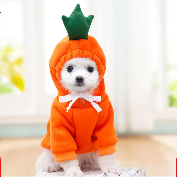 Autumn and winter pets, dogs, cats, cats, teddy bears, fruit, fleece, clothing, decoration supplies manufacturers wholesale